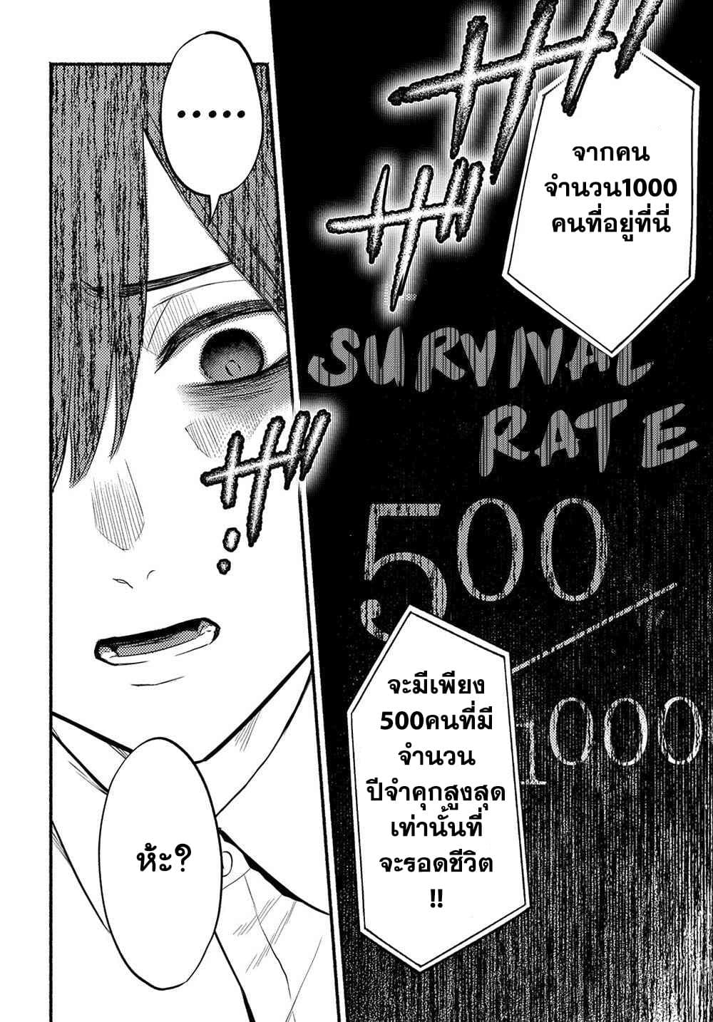 10232.jpg