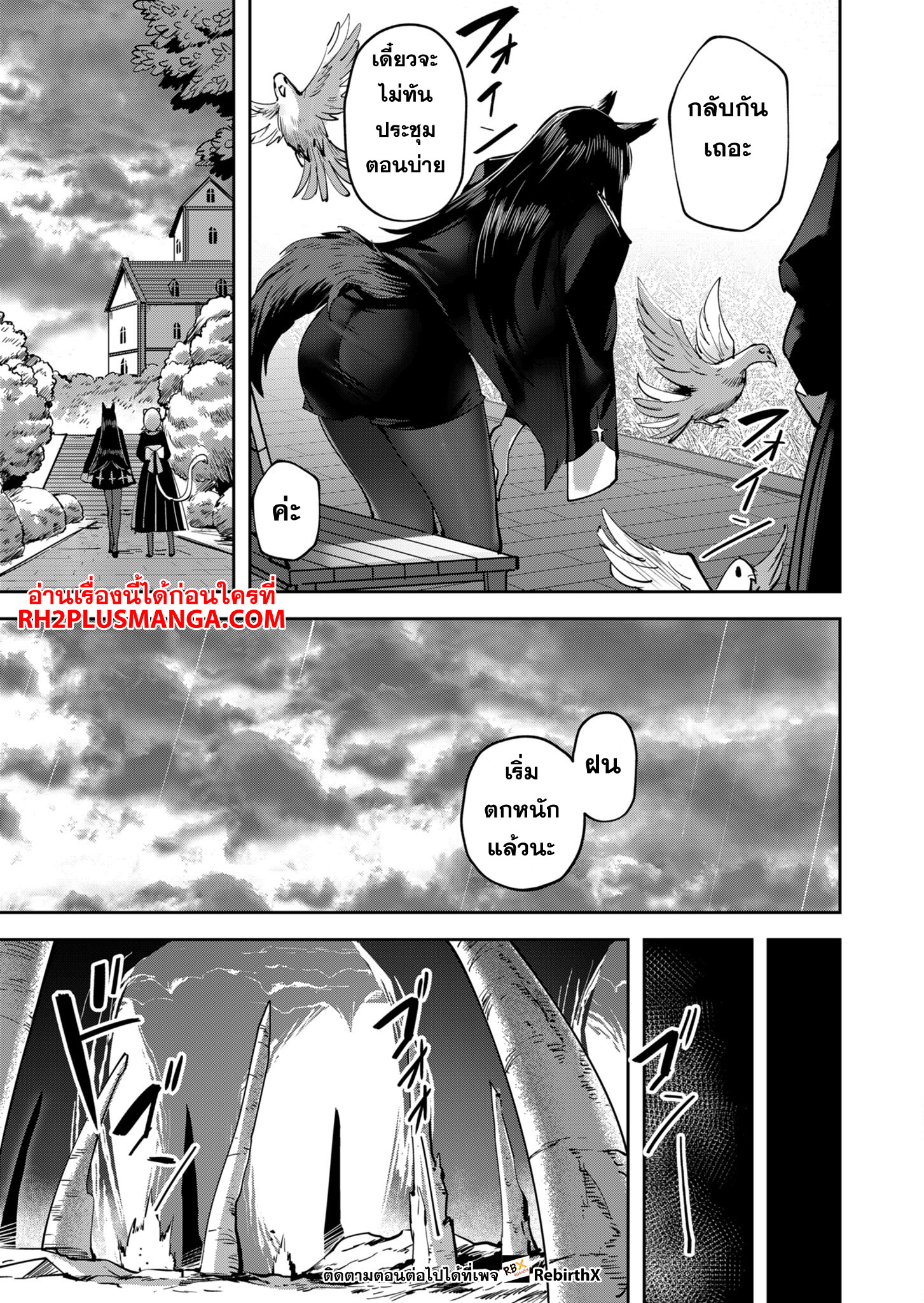 11146.jpg