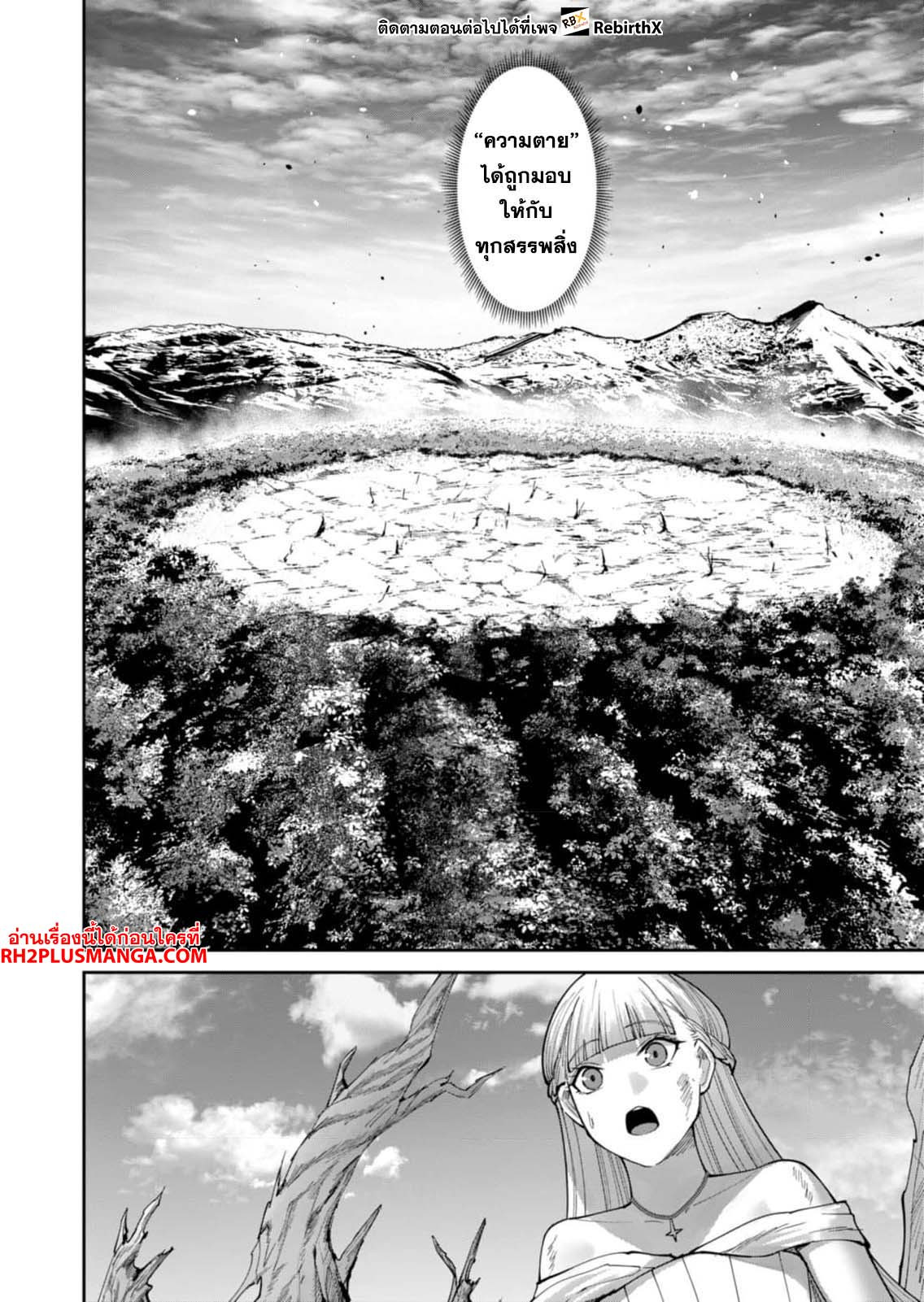 11561.jpg