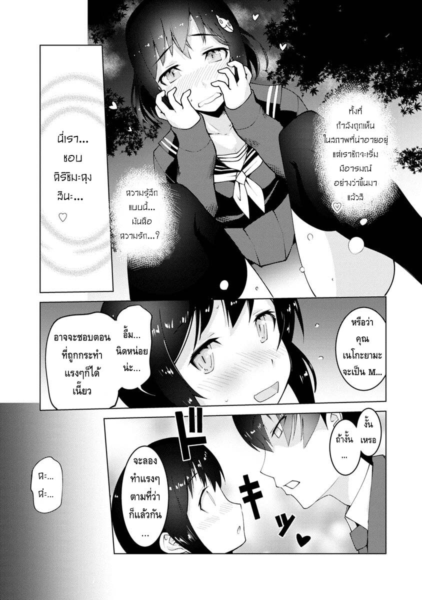 11163.jpg