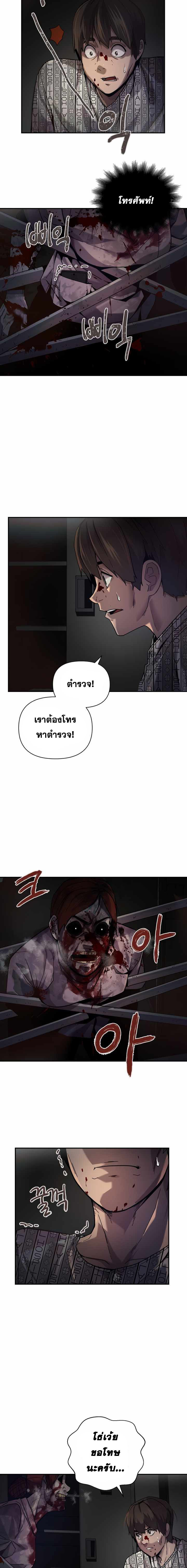 11751.jpg