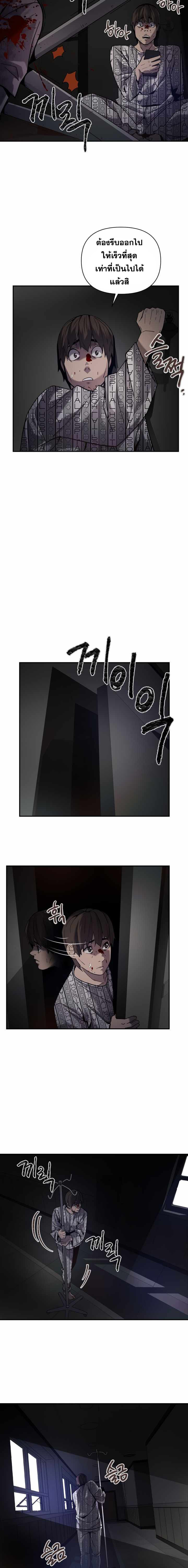 11753.jpg