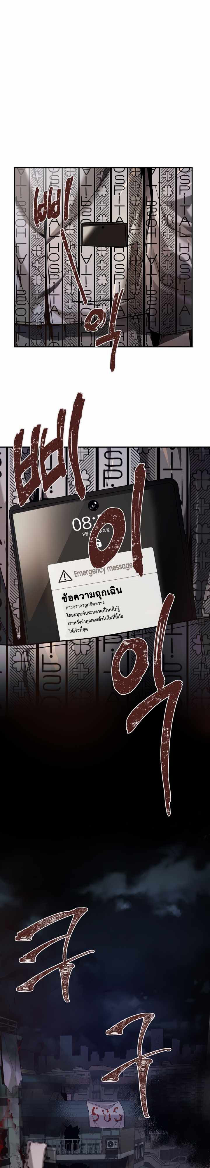11755.jpg
