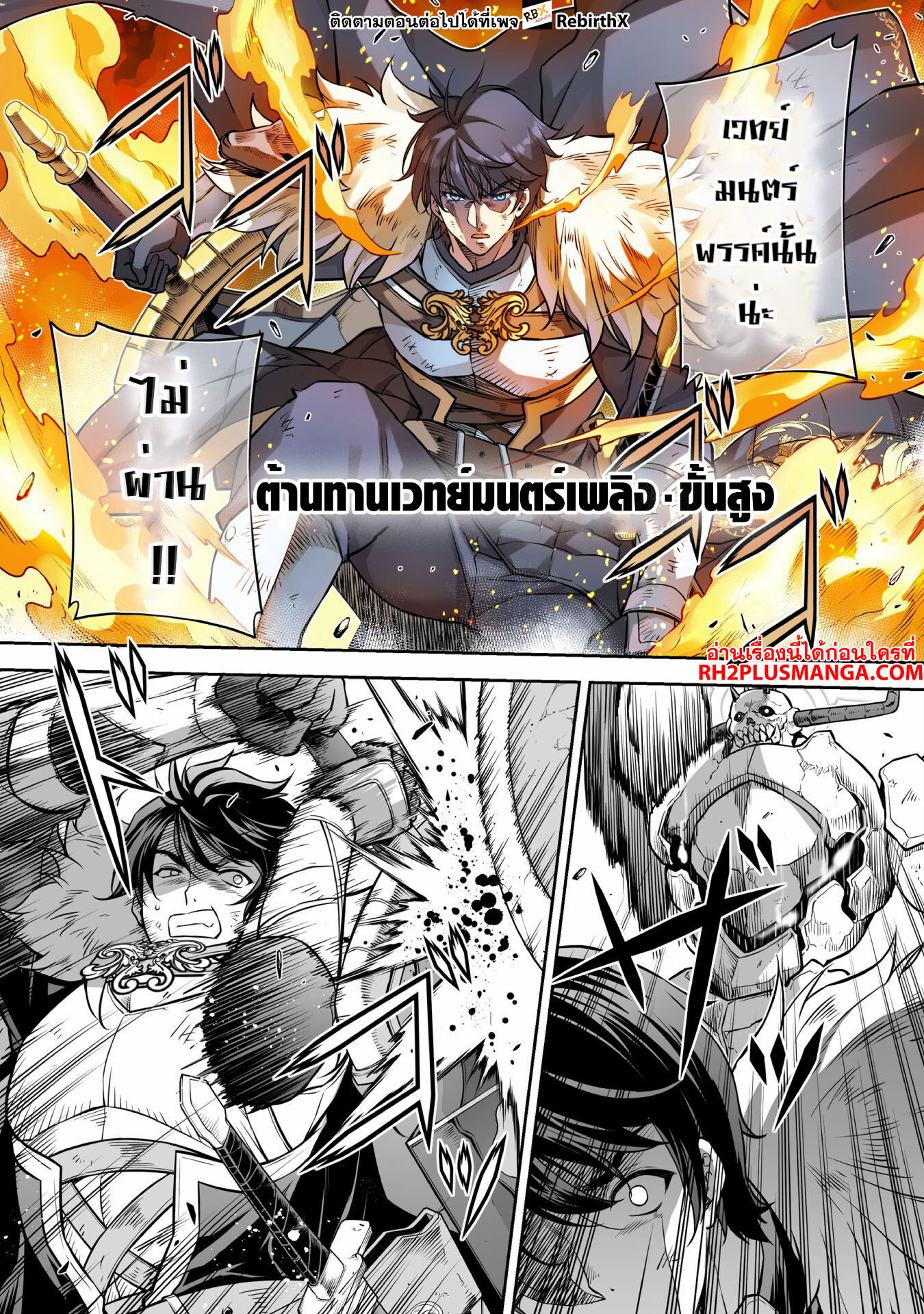 13996.jpg