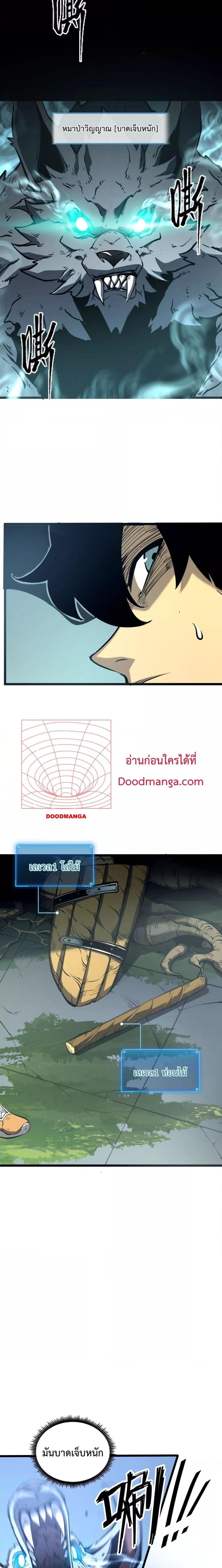 10023.jpg