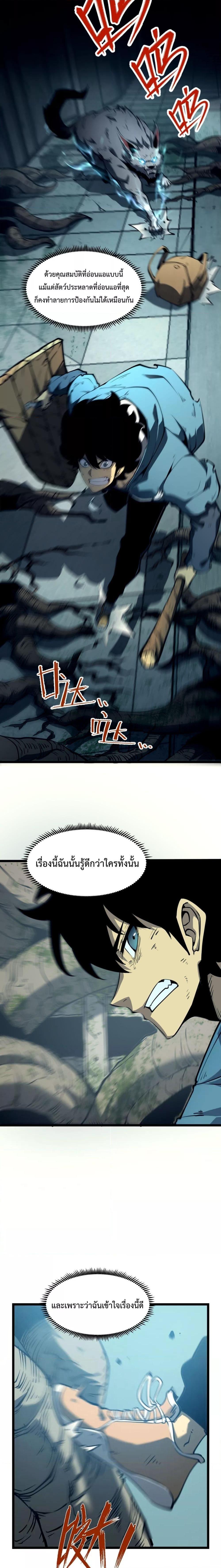 10027.jpg