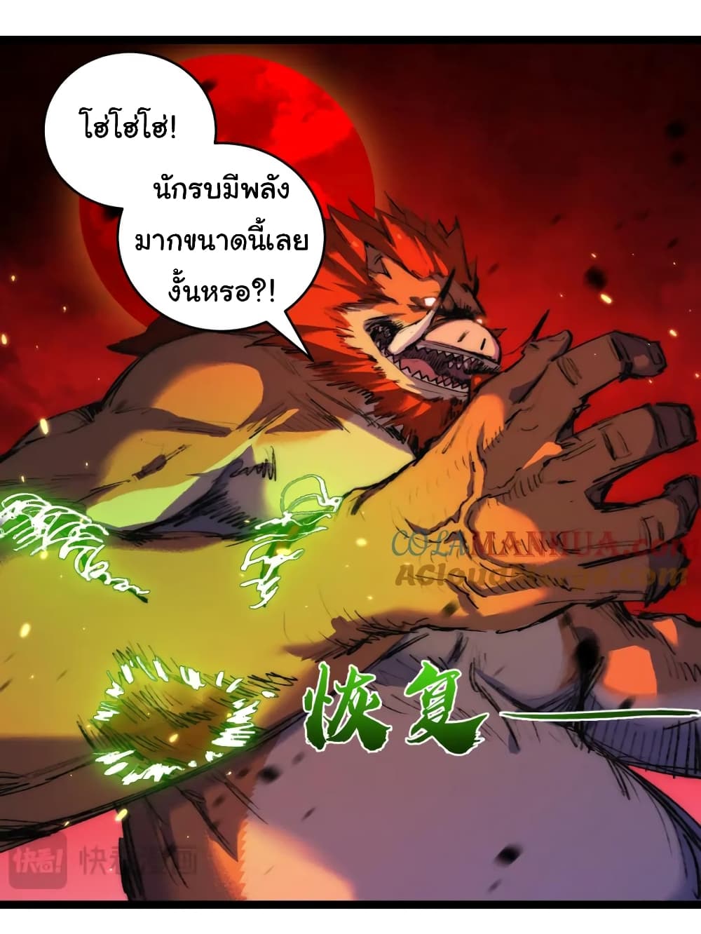 11003.jpg