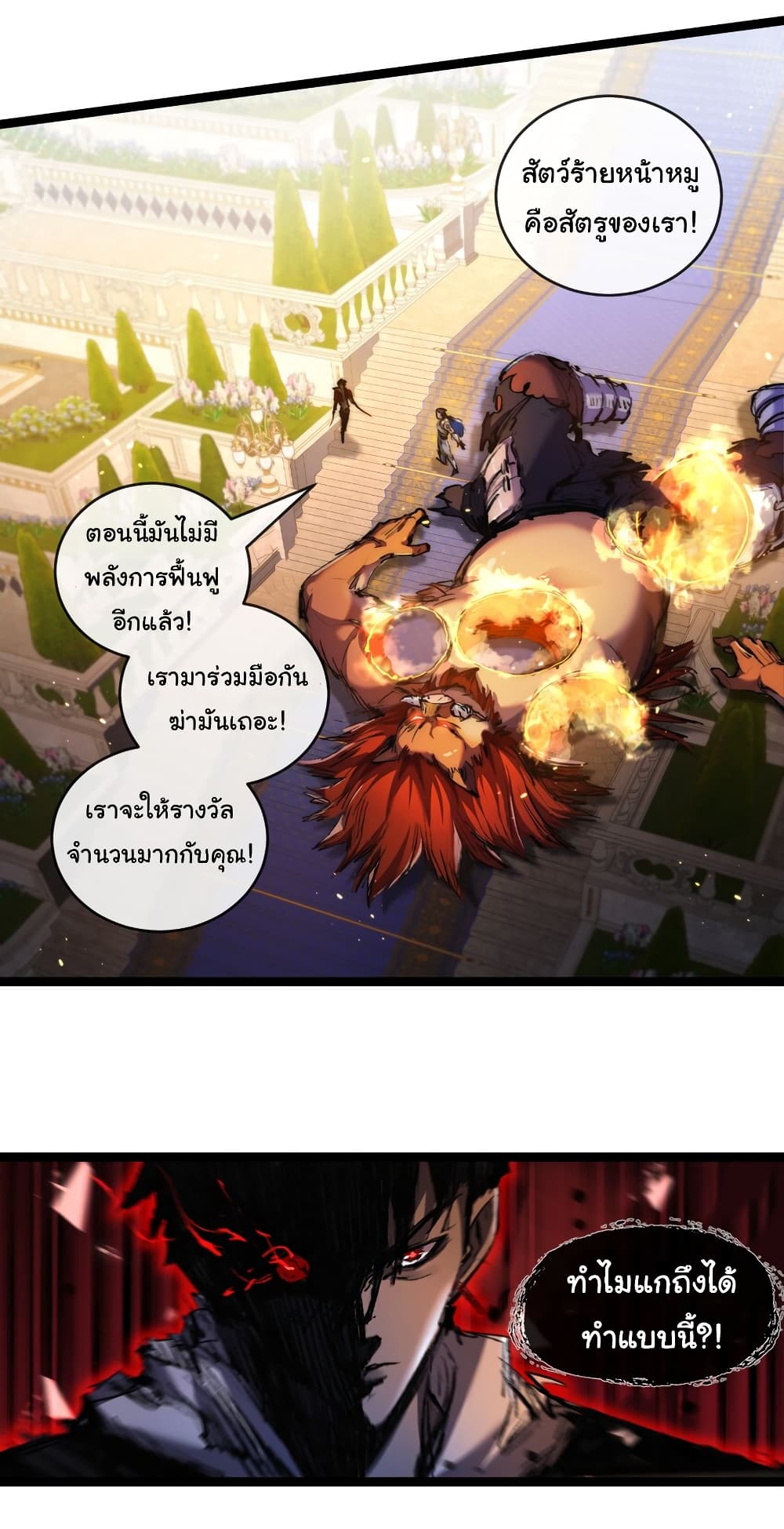 11165.jpg