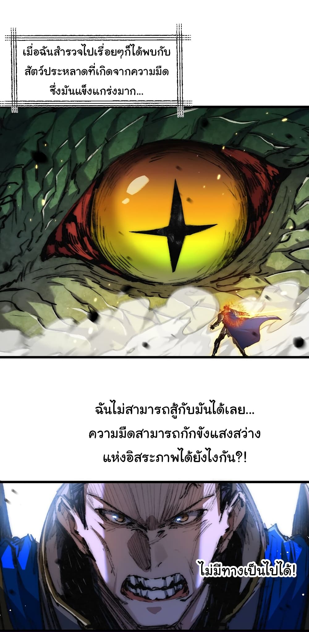 11210.jpg