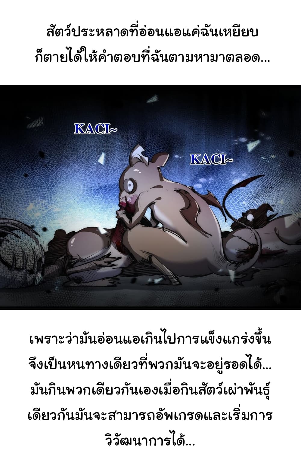 11213.jpg