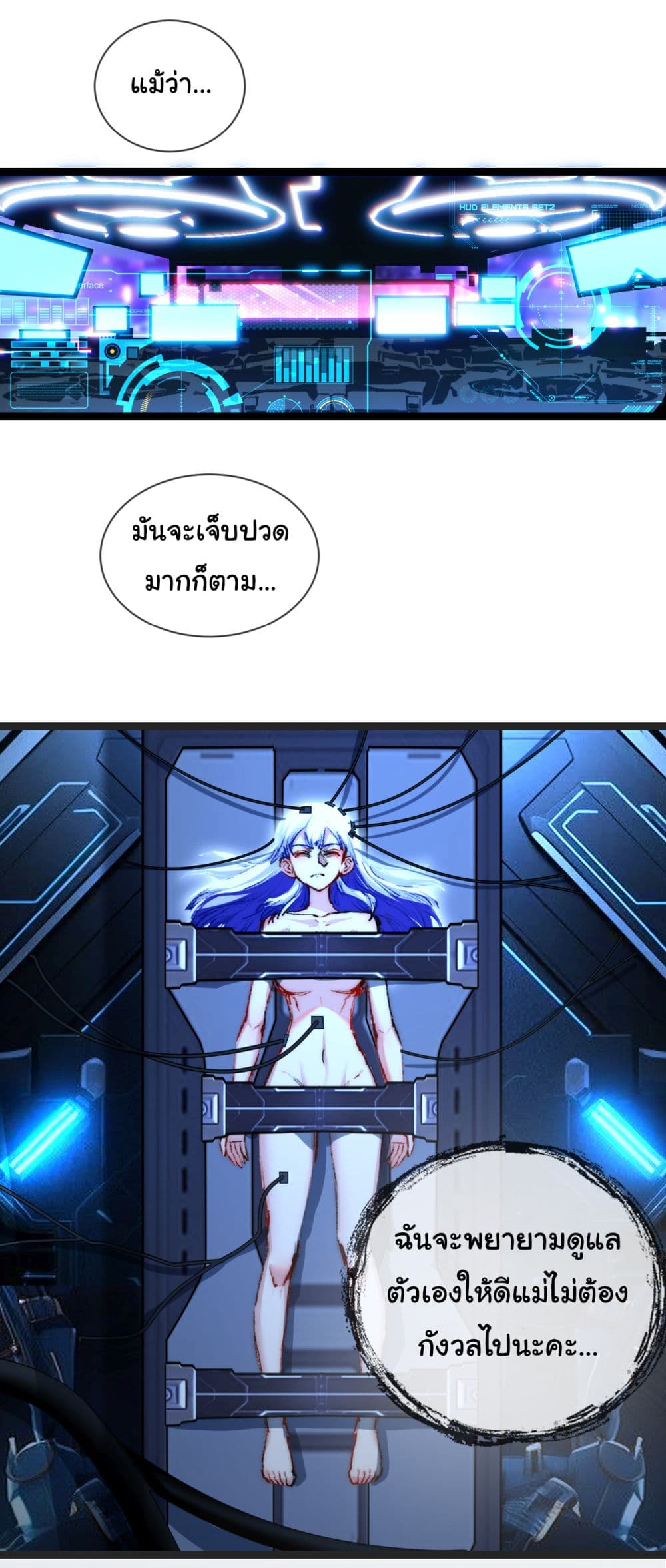 11406.jpg