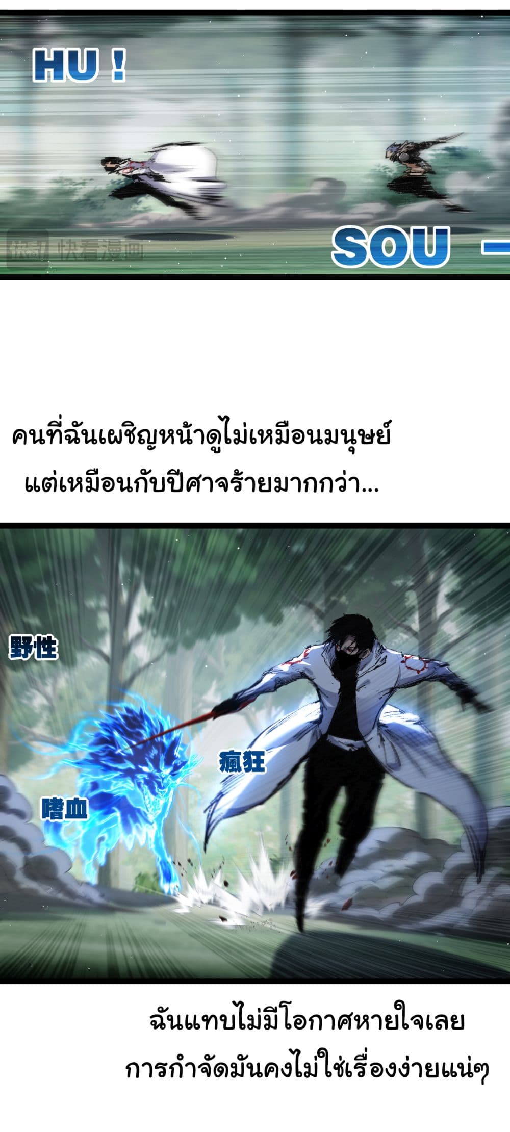 11445.jpg
