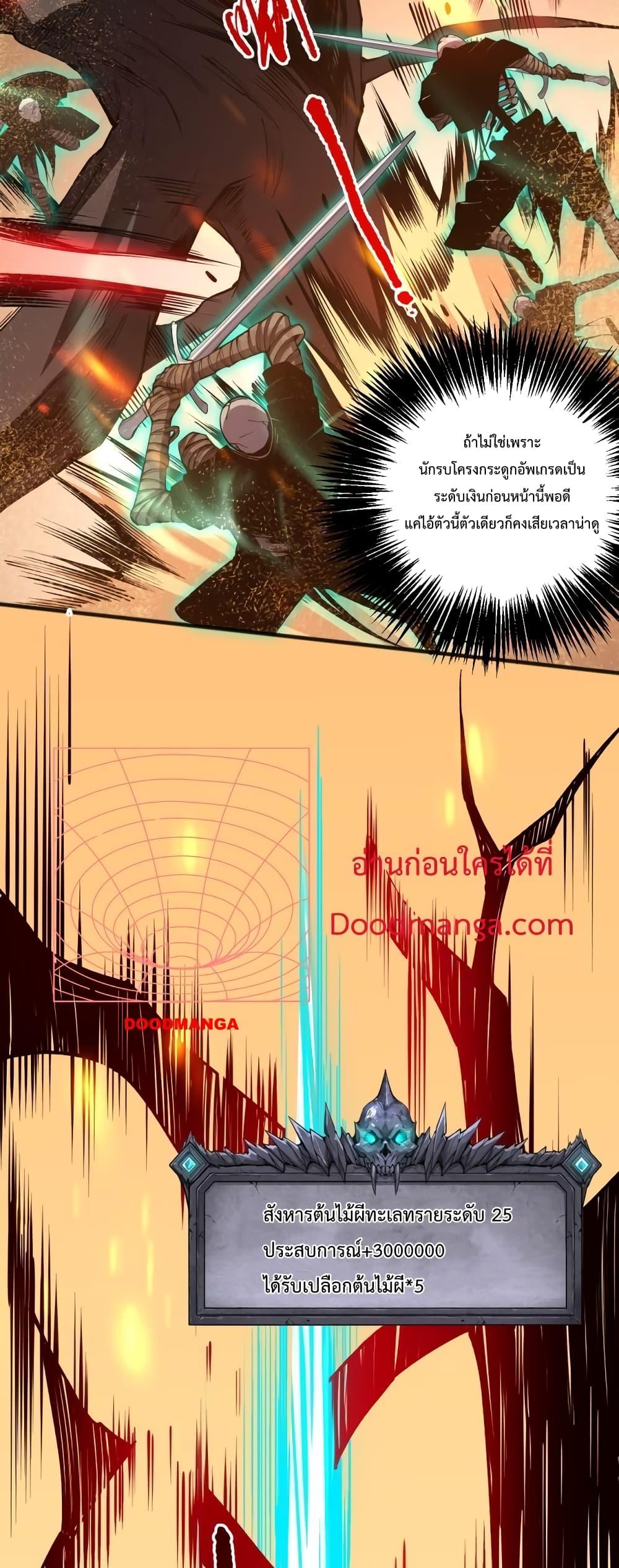 25.jpg