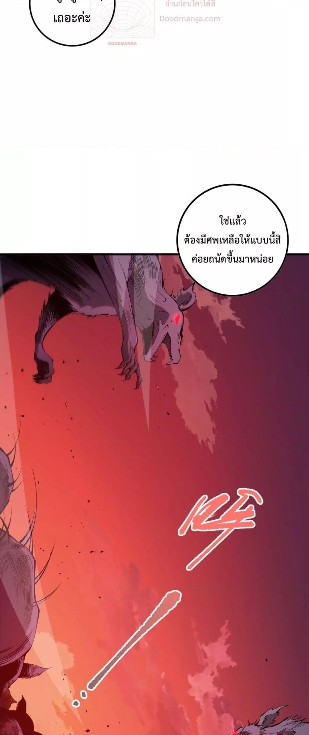 48.jpg