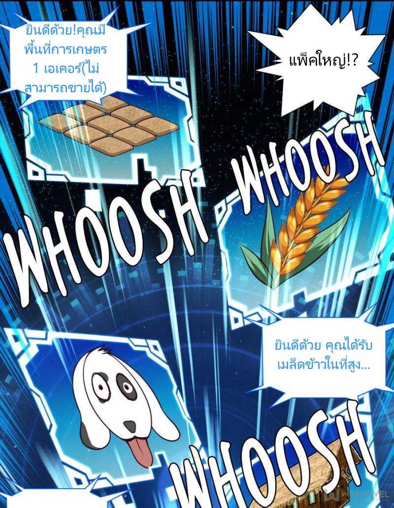 12_optimized.jpg