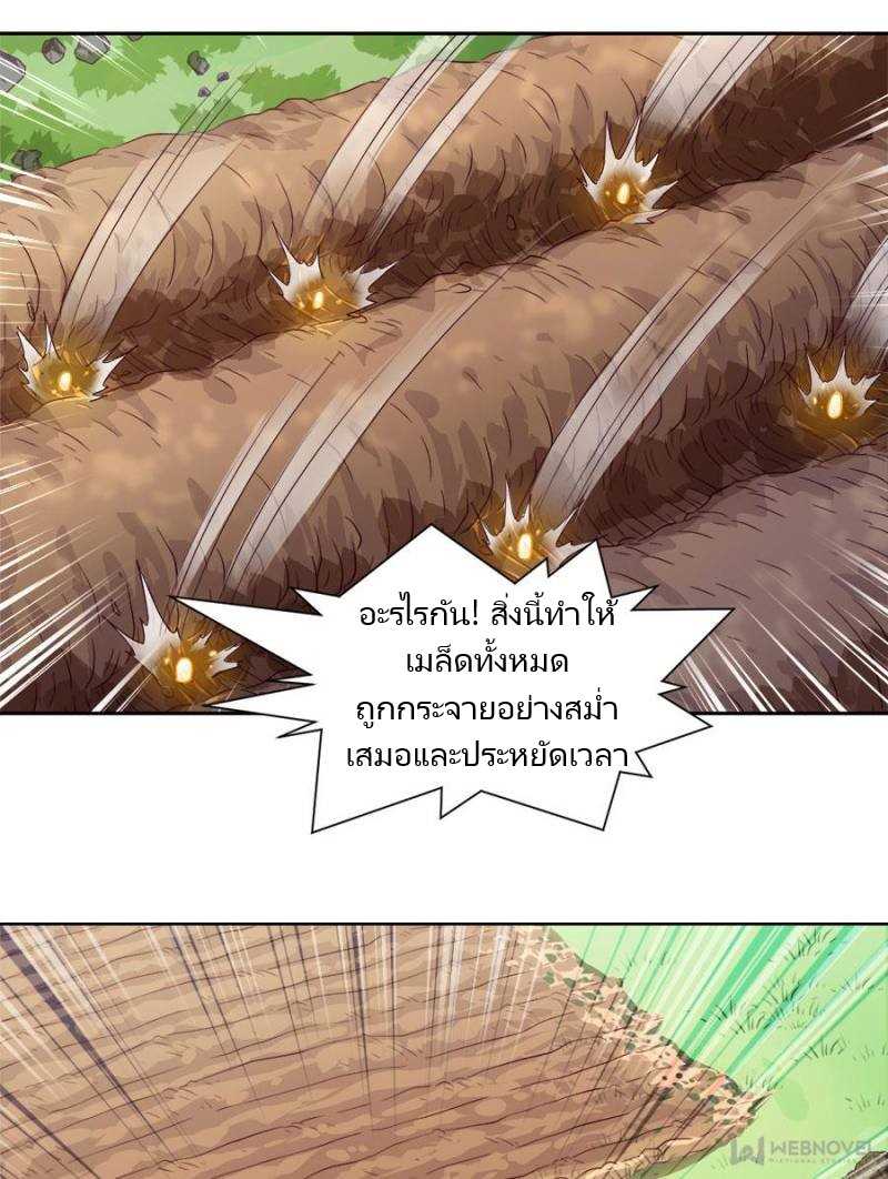 29_optimized.jpg