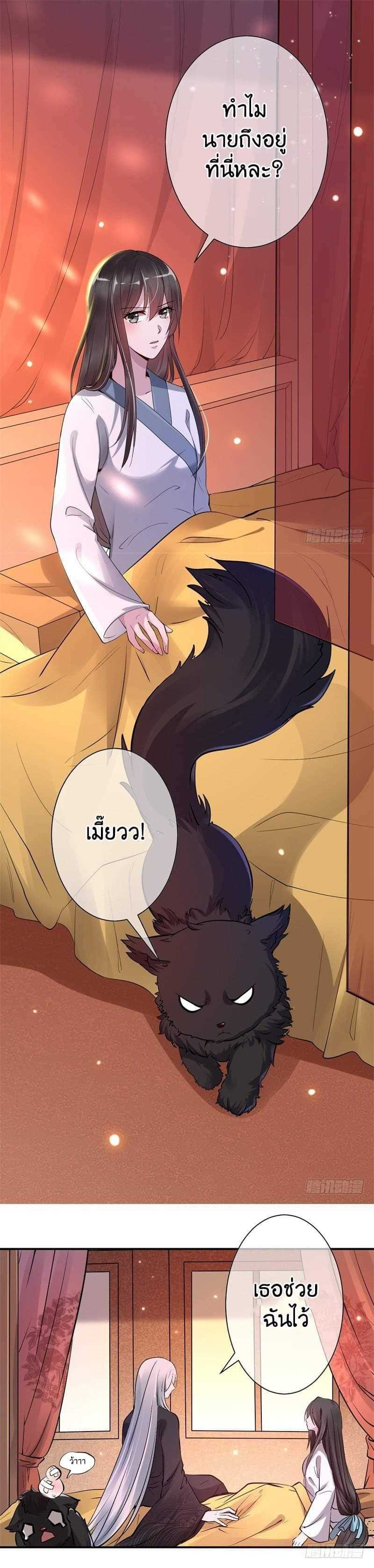 genius-doctor-black-belly-miss-3_TH-003_optimized.jpg