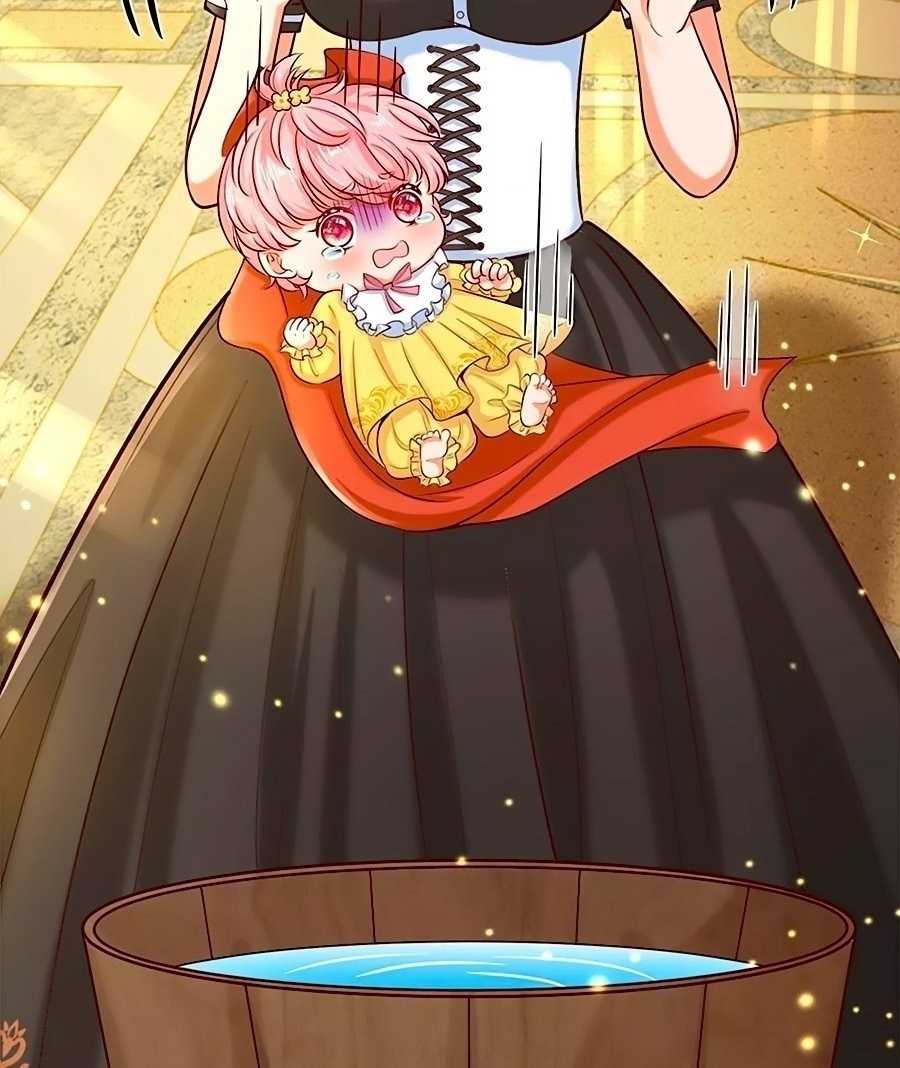 26-crop_optimized.jpg
