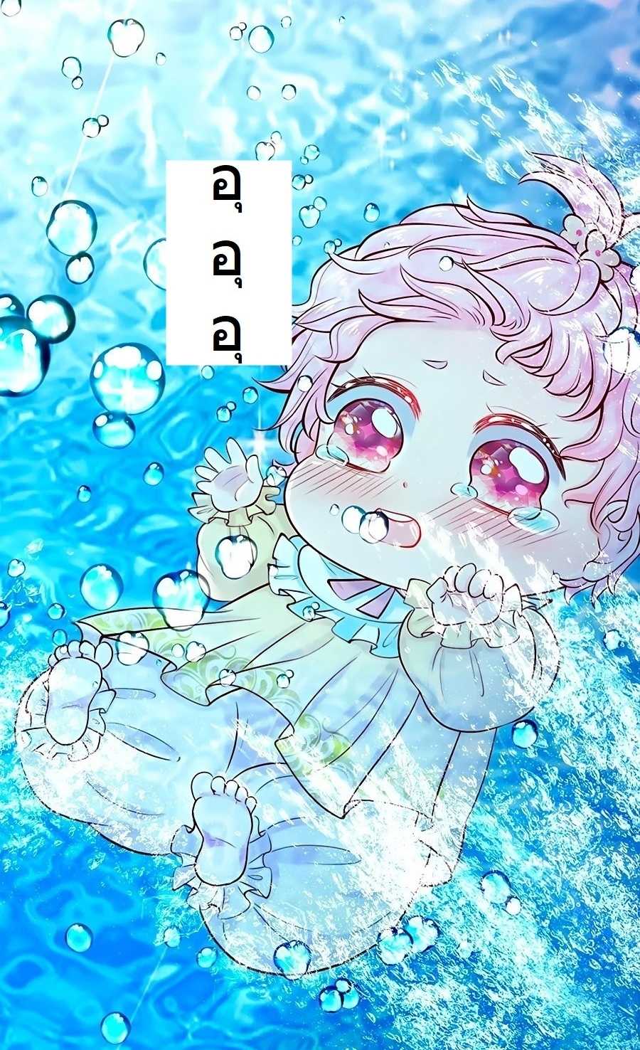 31-crop_optimized.jpg