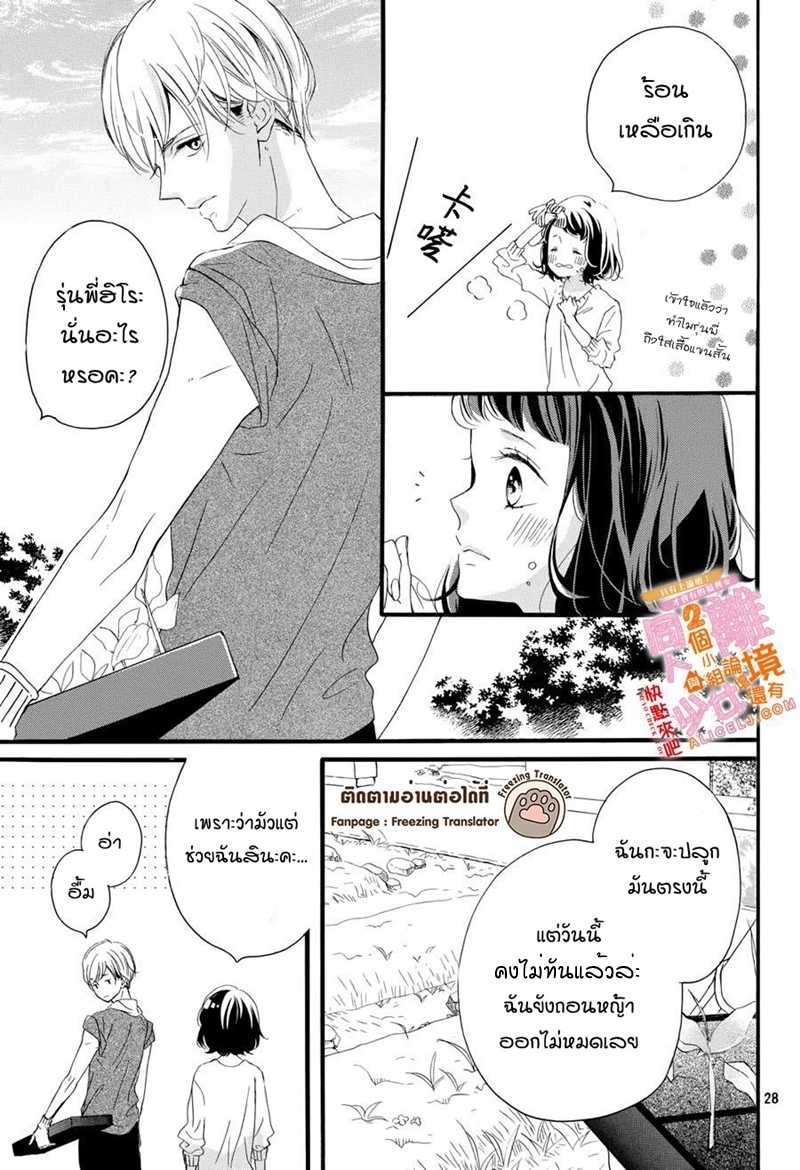 028_optimized.jpg