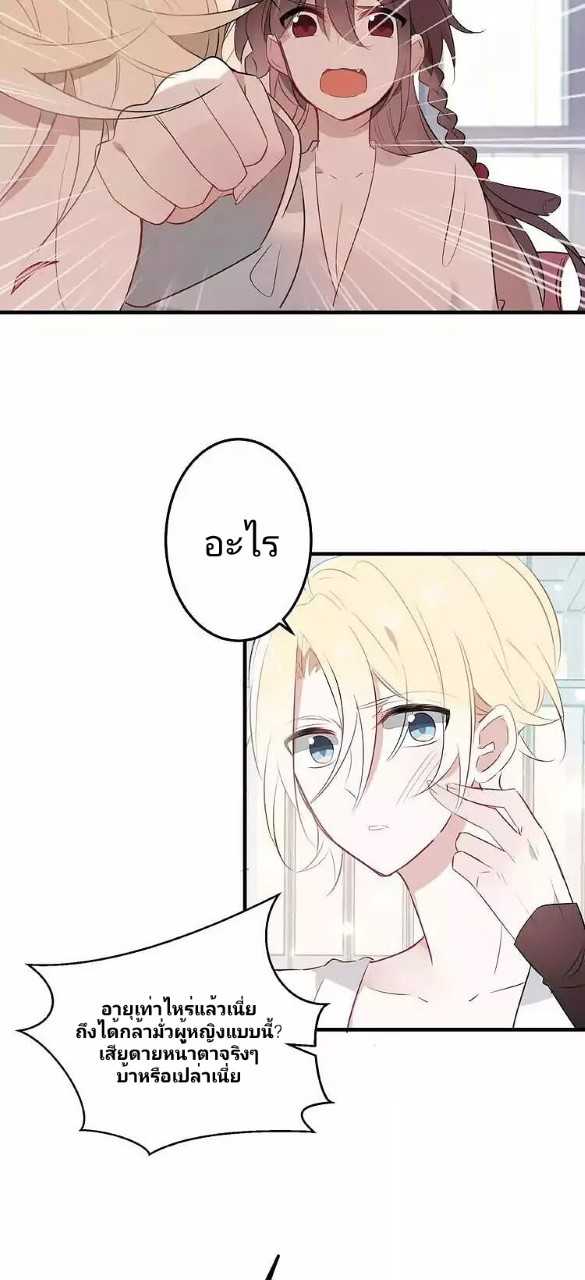 33_optimized.jpg