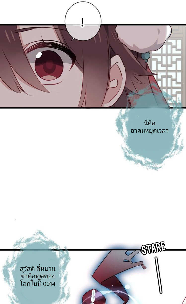 23-1_optimized.jpg