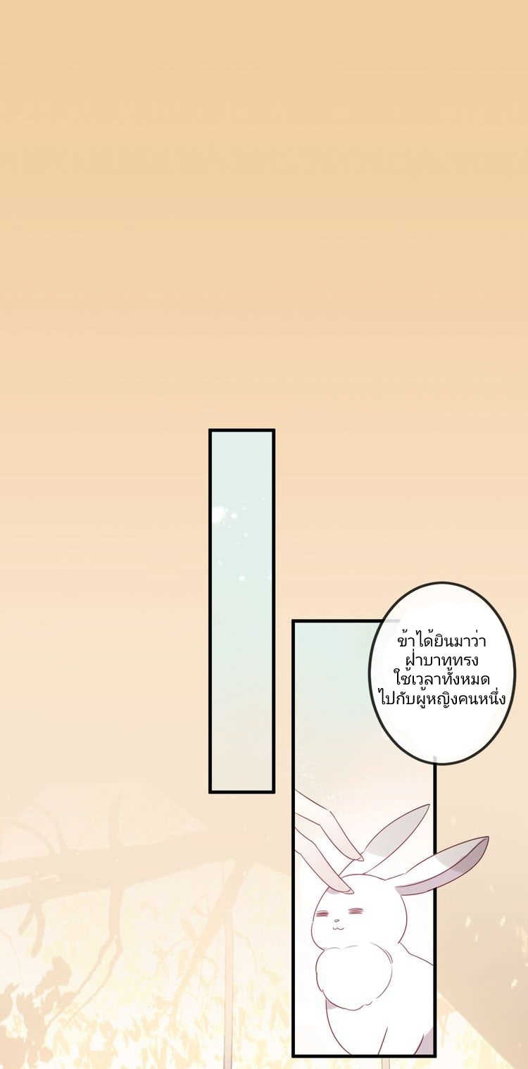 57_optimized.jpg