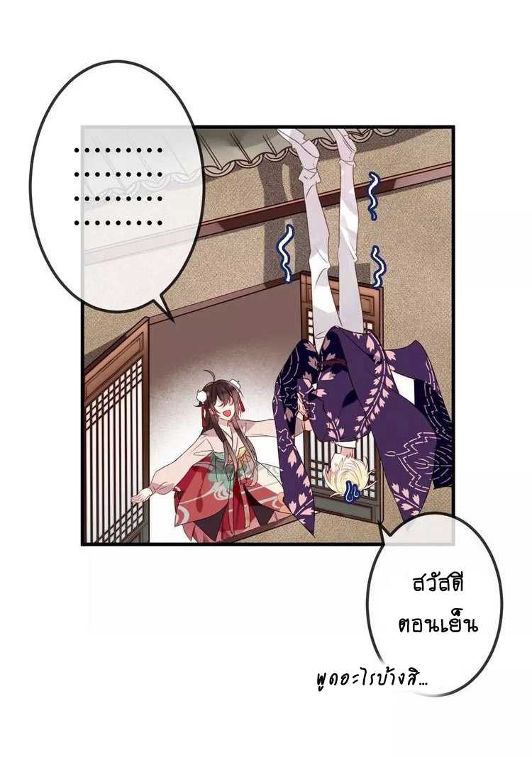 38_optimized.jpg