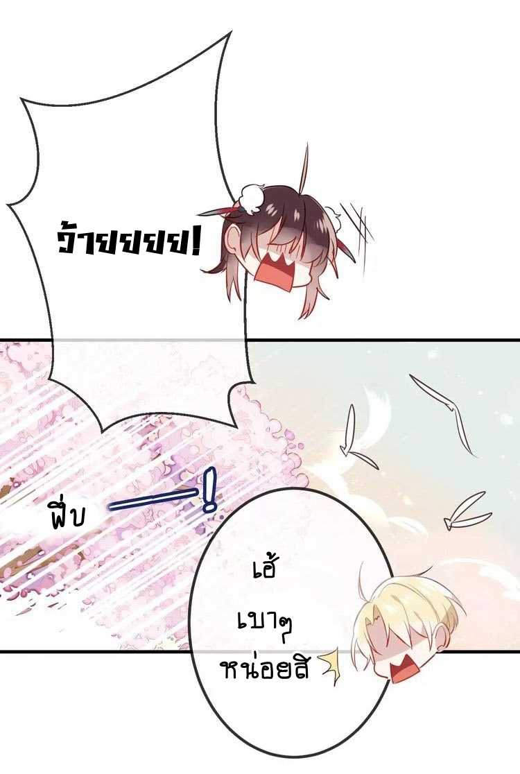 39_optimized.jpg