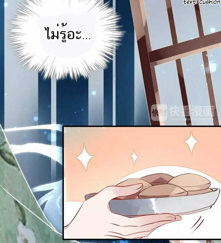 10_optimized.jpg