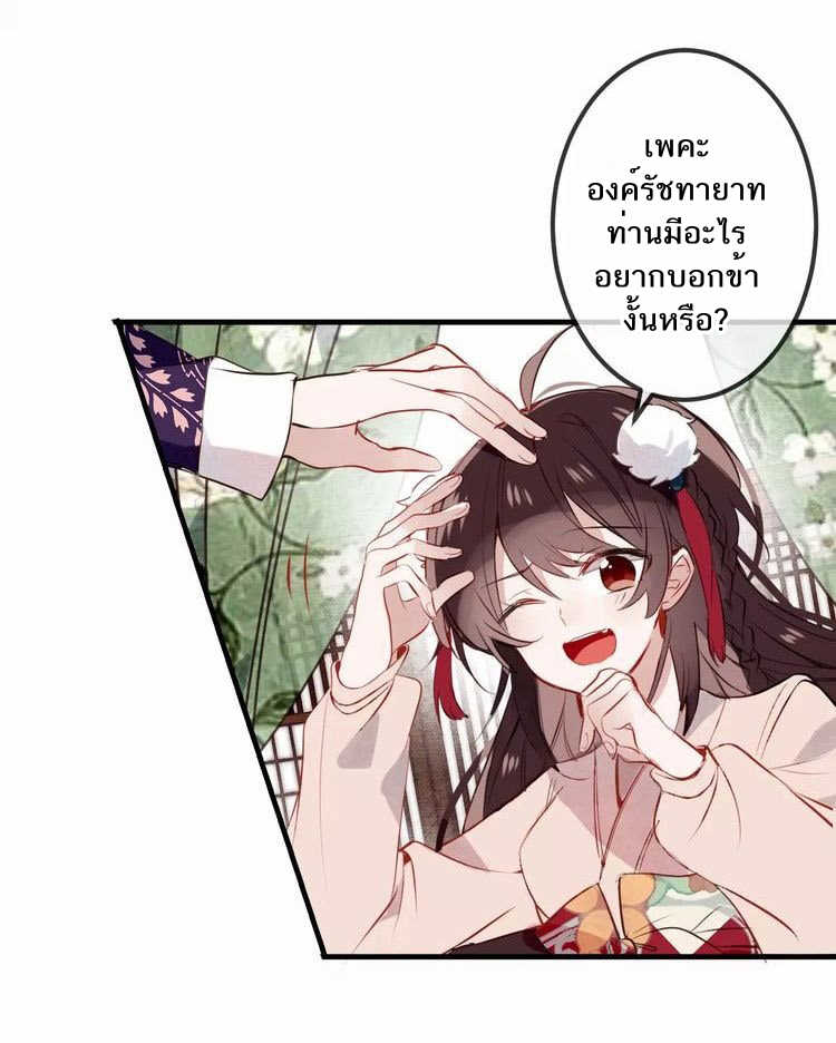 5_optimized.jpg
