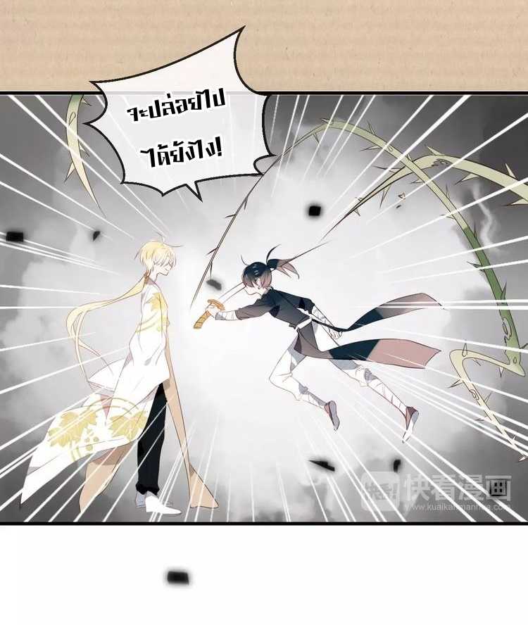 16_optimized.jpg
