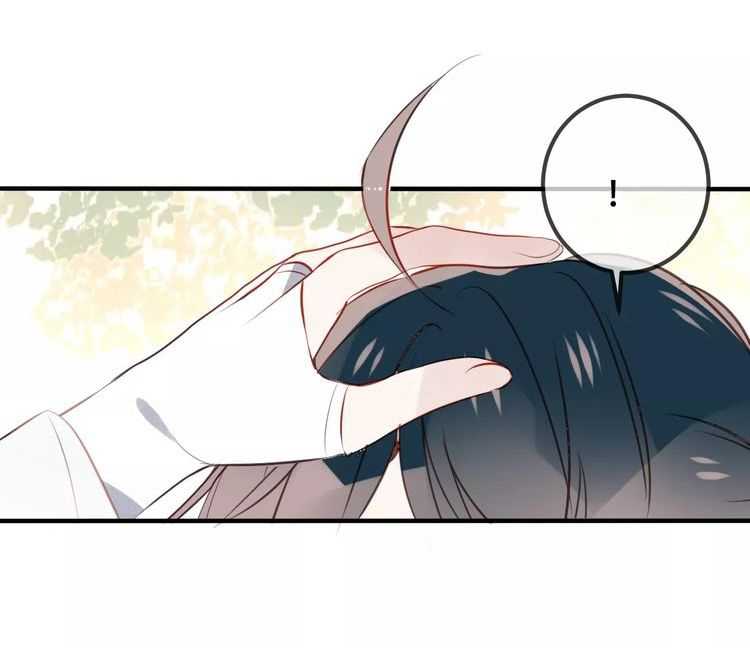 18_optimized.jpg
