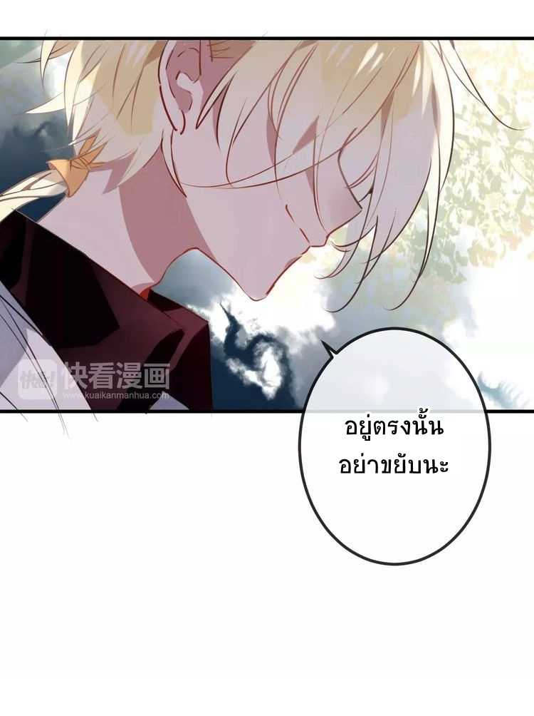 40_optimized.jpg