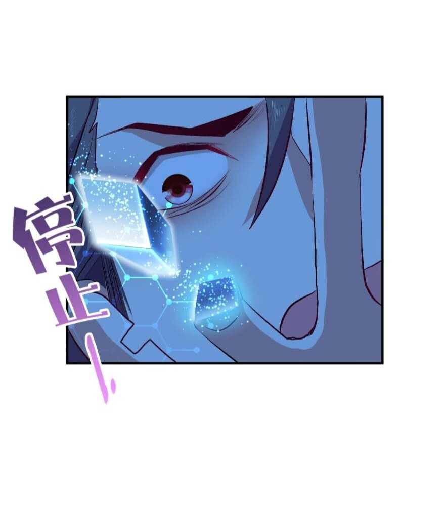23_optimized.jpg