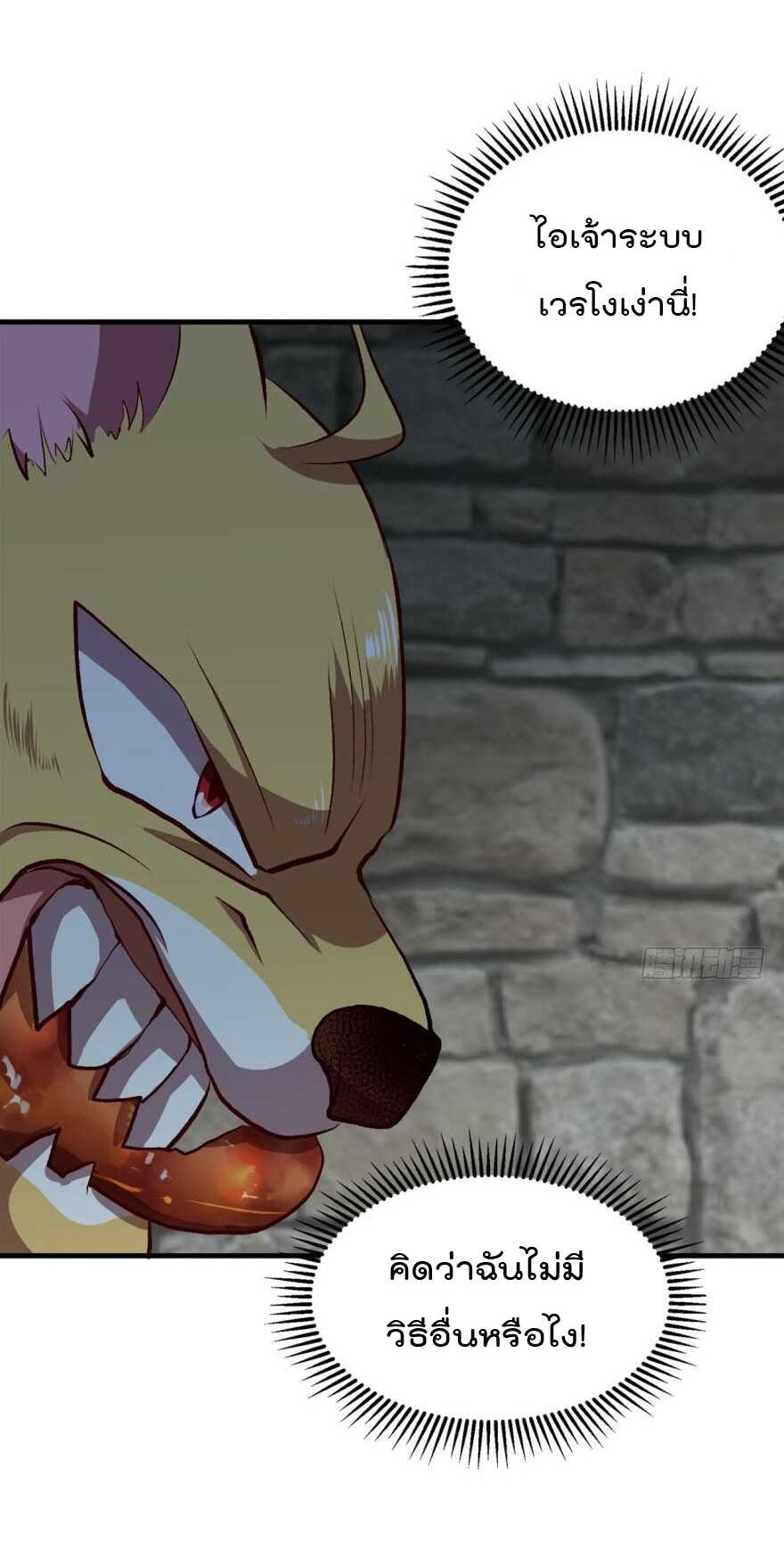 10_optimized.jpg