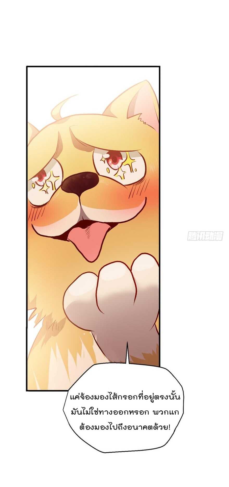 14_optimized.jpg