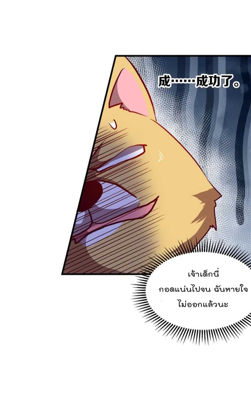 35_optimized.jpg