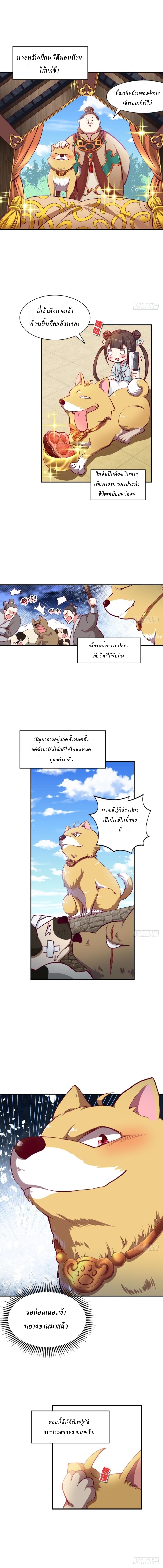 REBIRTH-OF-4_TH-002.jpg