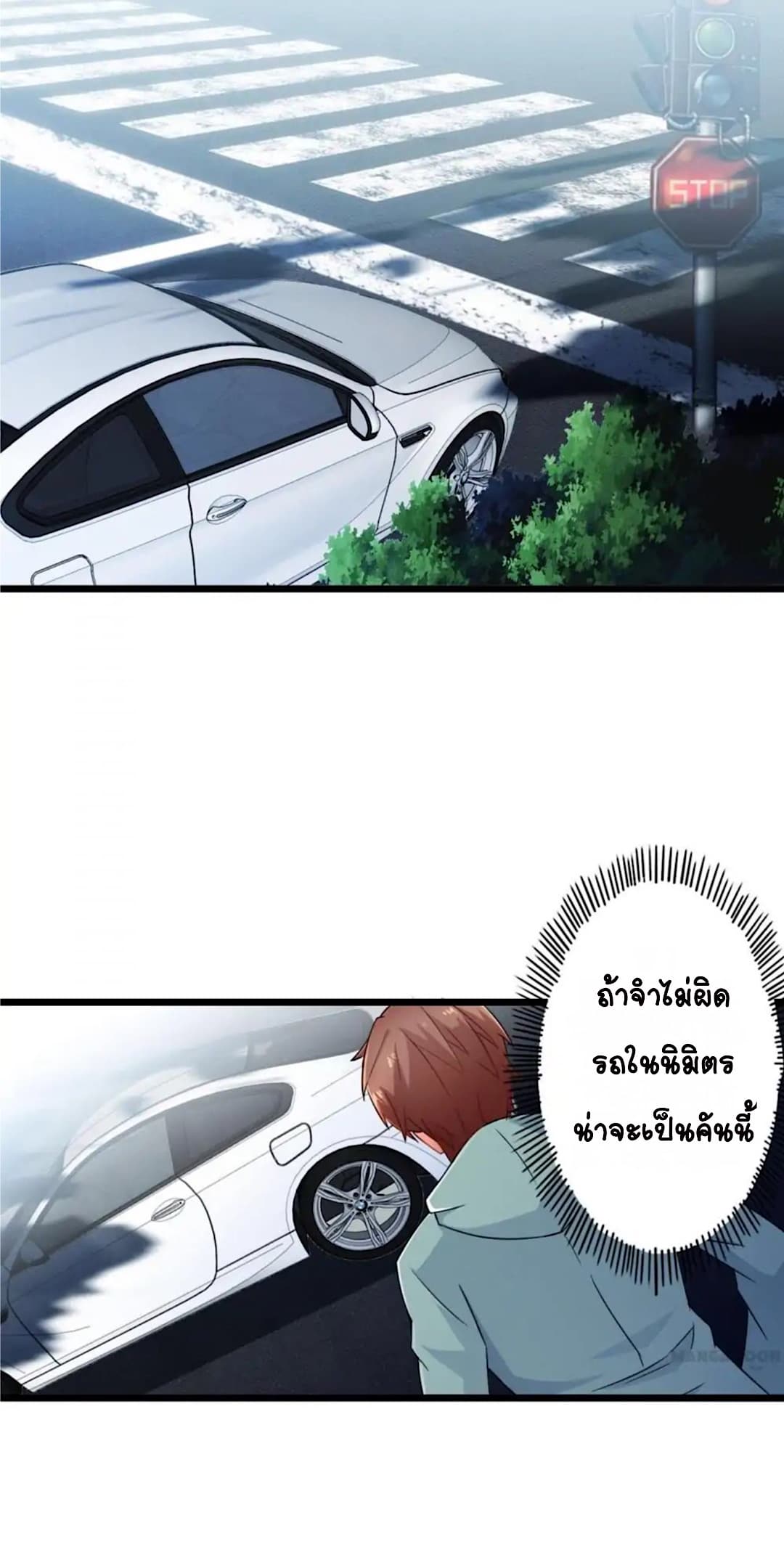 100288344.jpg