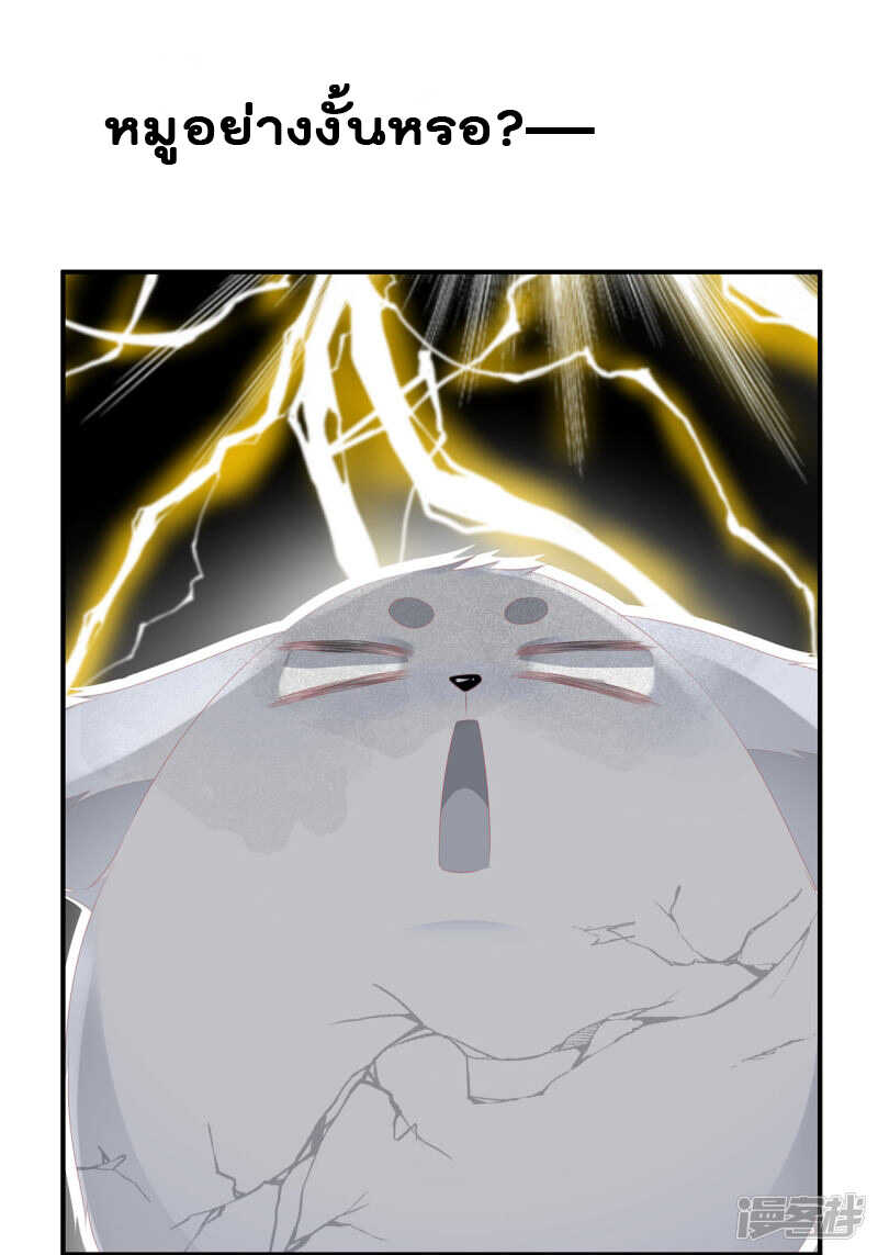 16_optimized.jpg