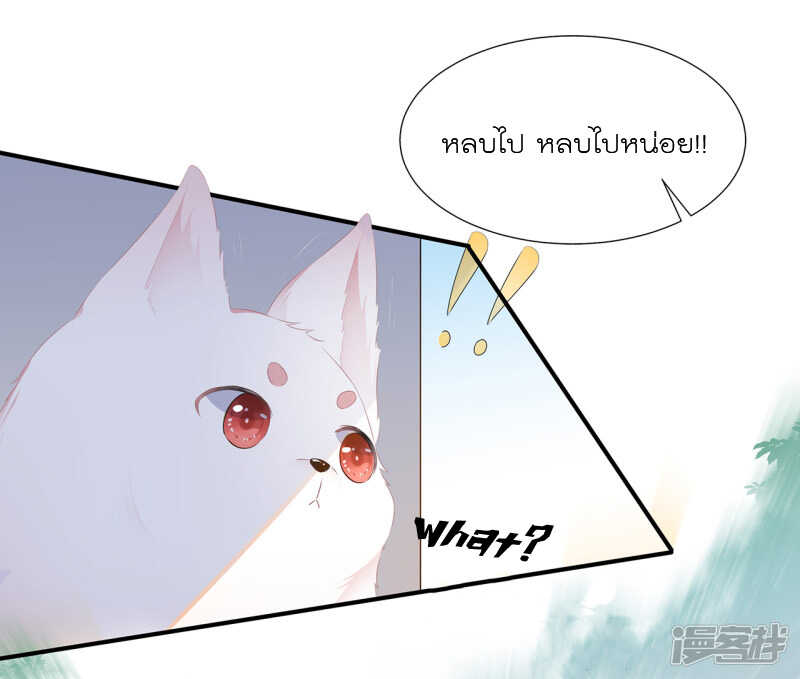 15_optimized.jpg