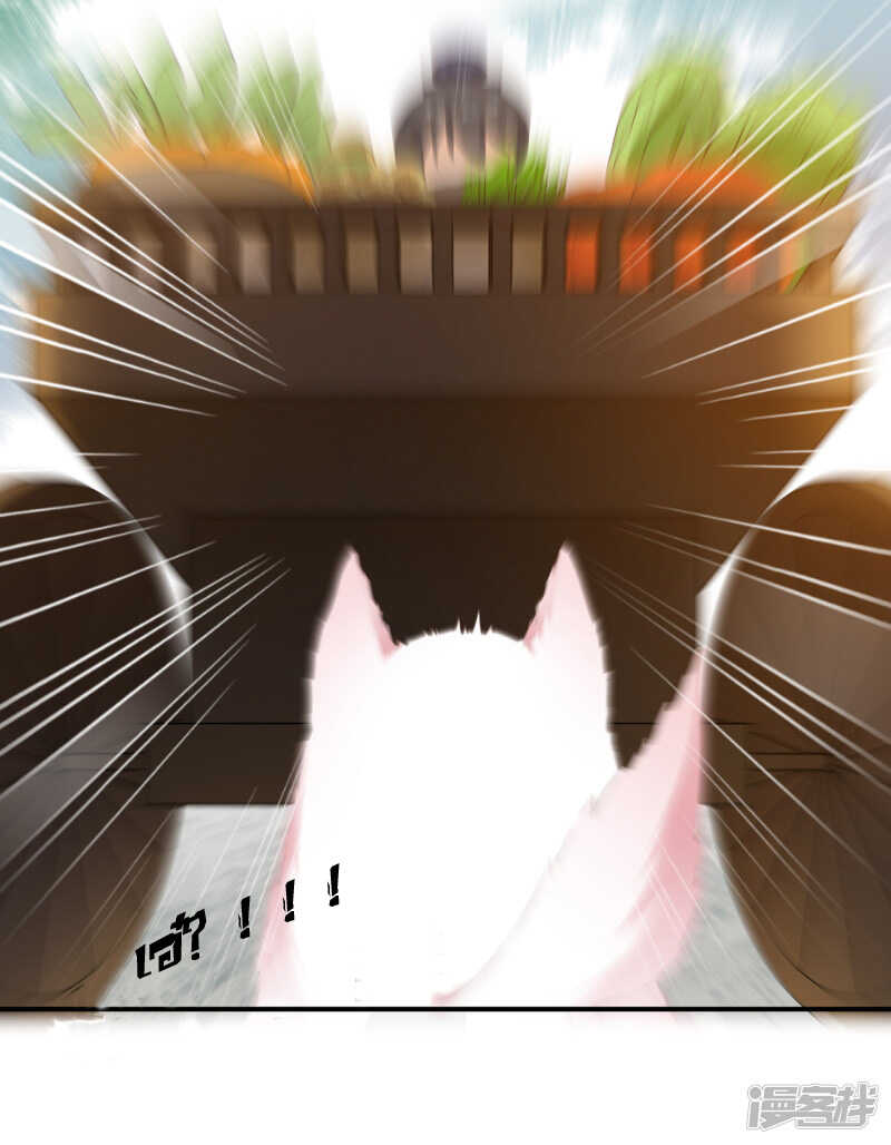 16_optimized.jpg