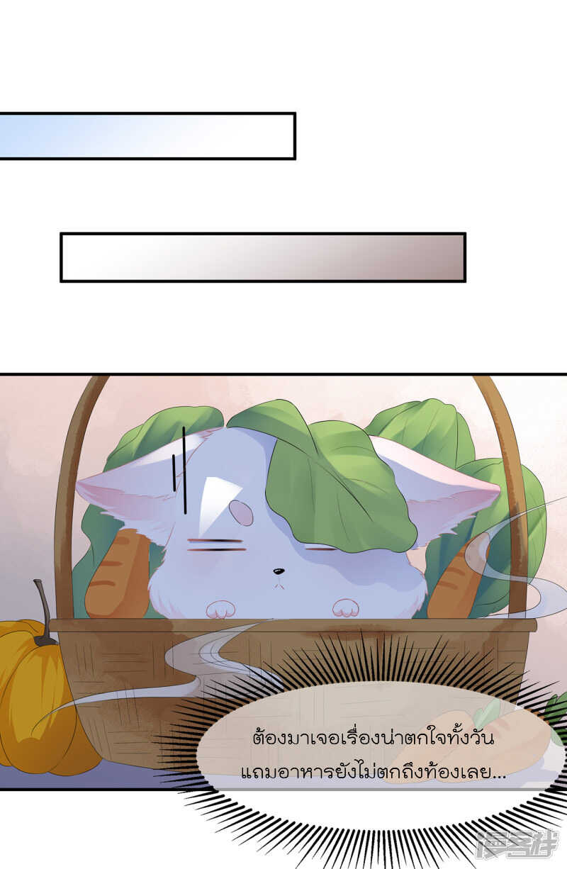 17_optimized.jpg