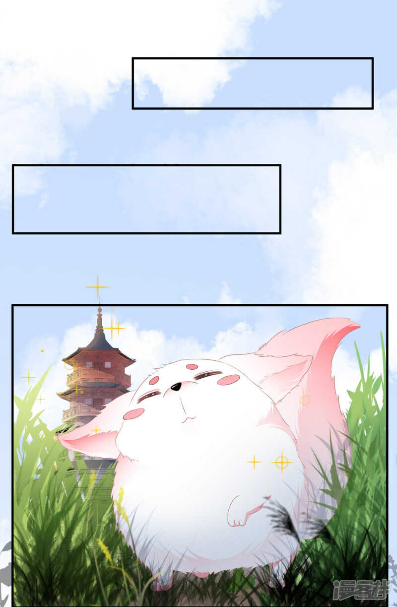 26_optimized.jpg