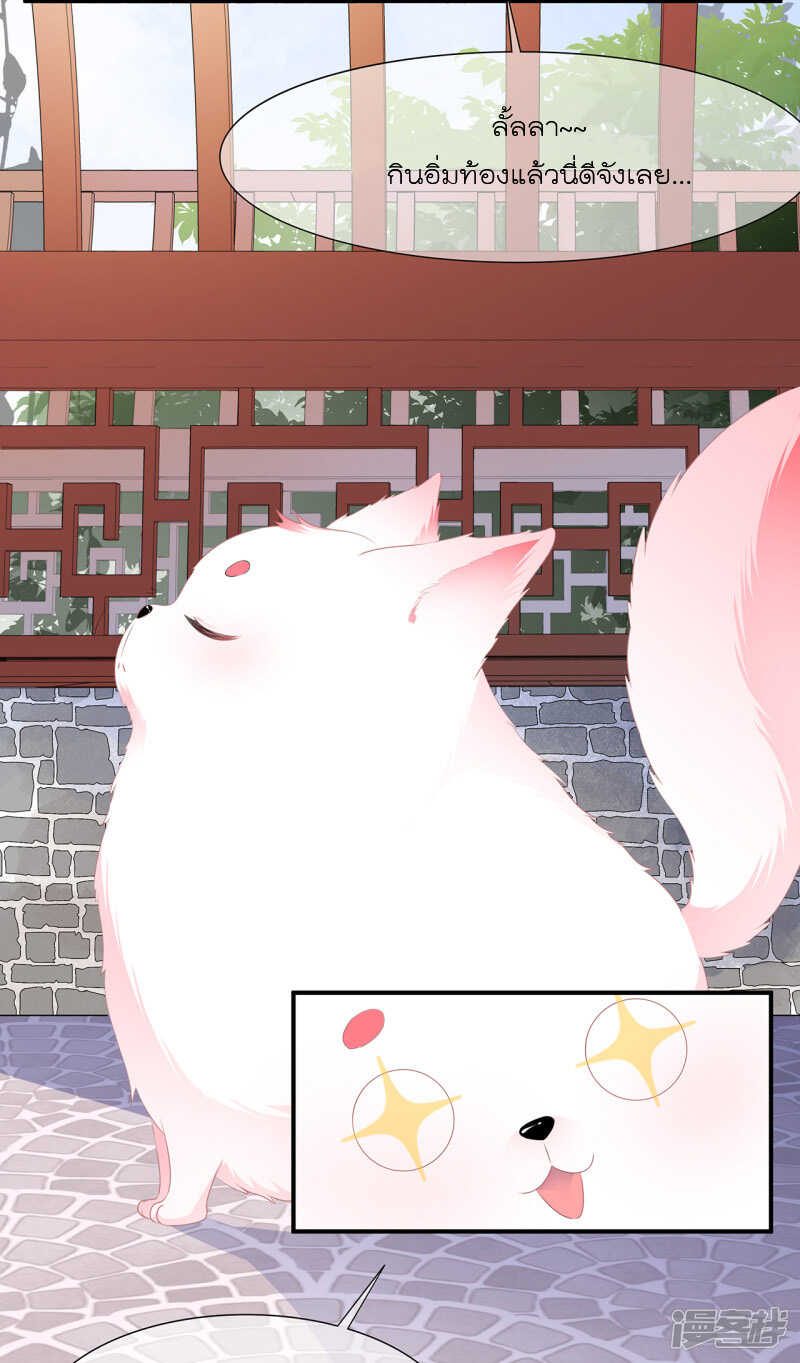 27_optimized.jpg