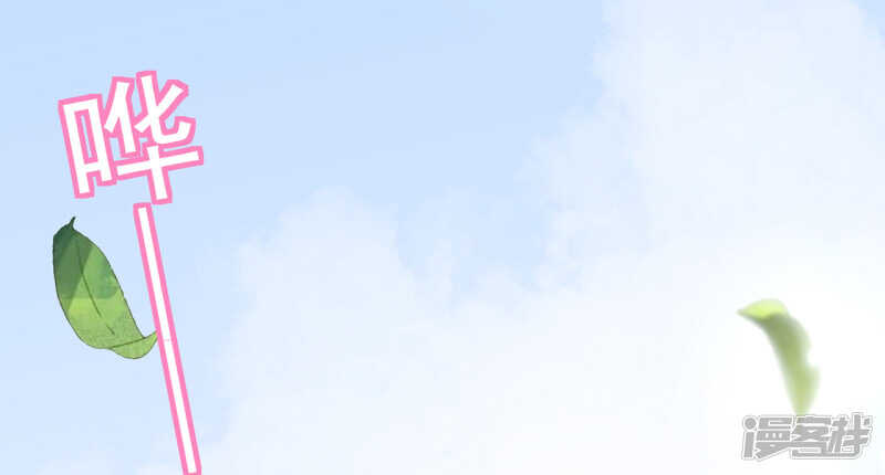 29_optimized.jpg