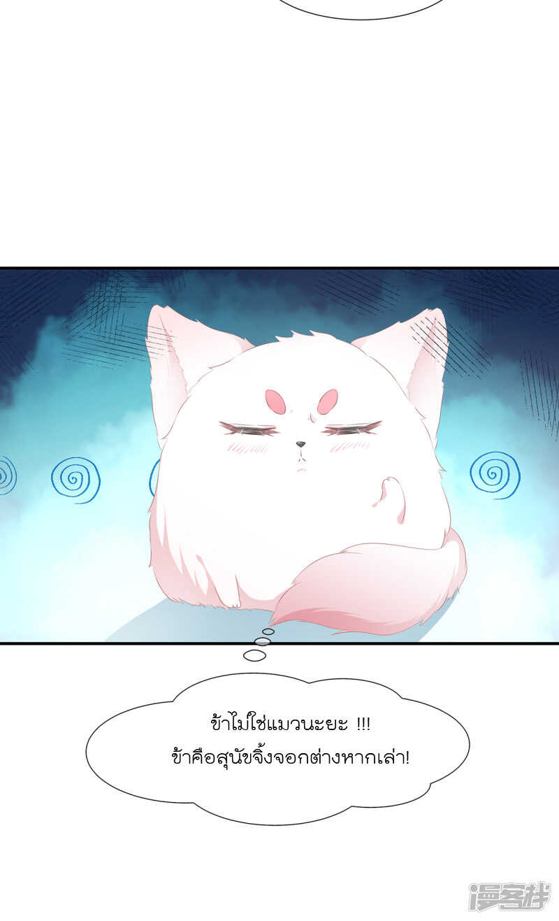7_optimized.jpg