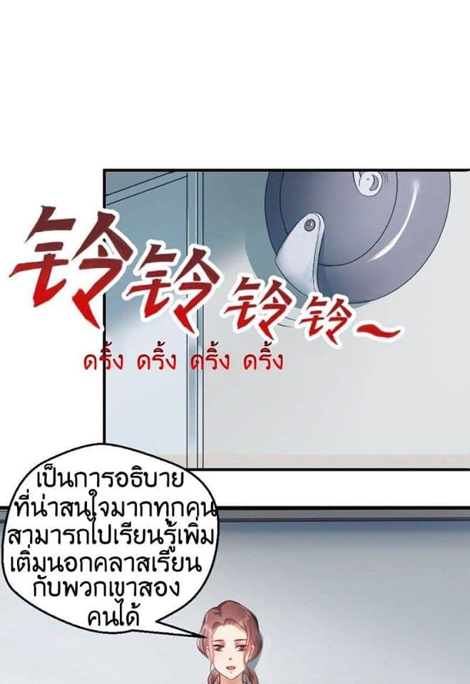 Peerless-Genius-System-6_TH-030.jpg