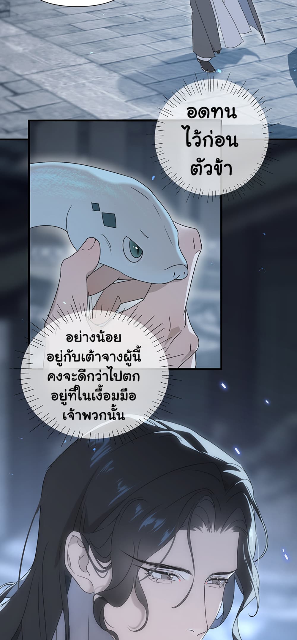 0017.jpg